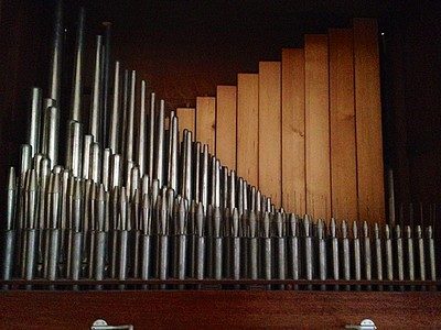 L’orgue : une forêt de tuyaux