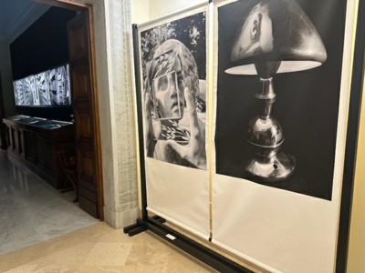 Galerie Image