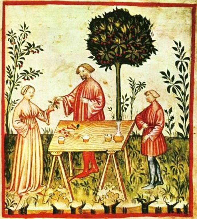 Les arbres et leurs vertus dans le Livre des Subtilités d’Hildegarde de Bingen