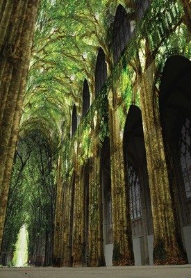 La forêt prend possession de l’abbatiale Saint-Ouen de Rouen